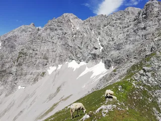 Brandjochkreuz