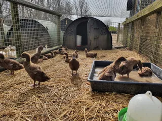 Longdown Activity Farm