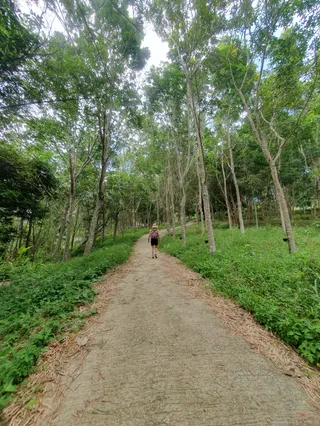 Trail to Big Buddha