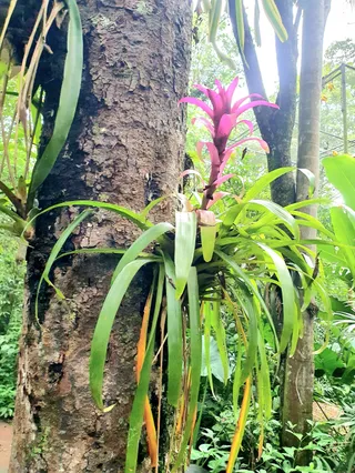 Parque das Aves
