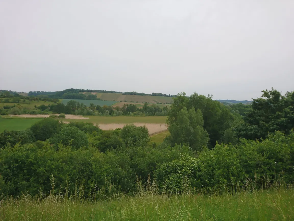 Nature park Stromberg-Heuchelberg e.V.