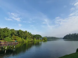 MacRitchie Reservoir Park