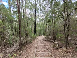 Andersons Garden