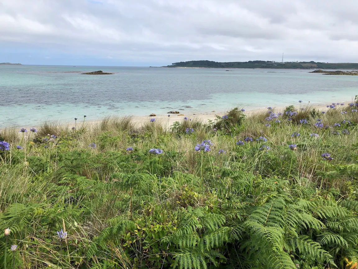 Pentle Bay