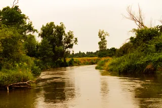 Nadwieprzański Park Krajobrazowy