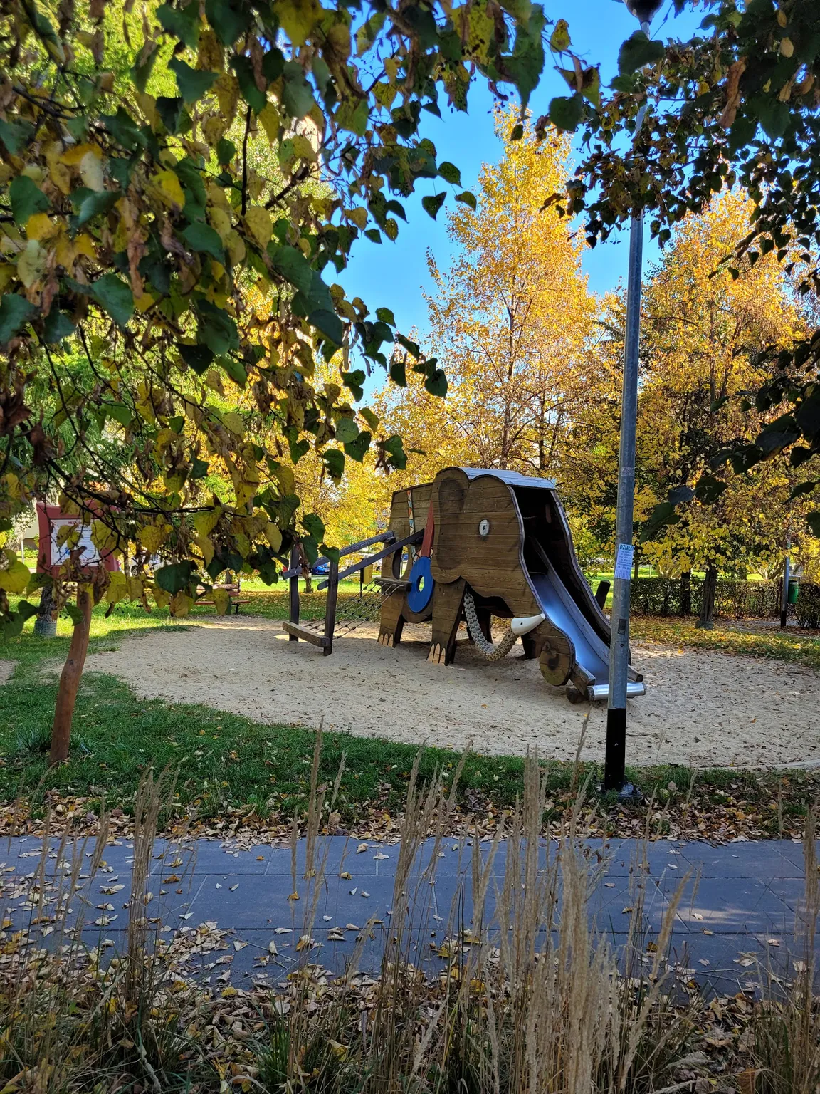 Słoń Bielański