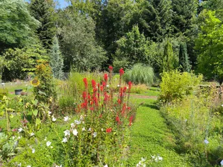 Botanischer Garten und Botanisches Forschungslabor der Universität Konstanz