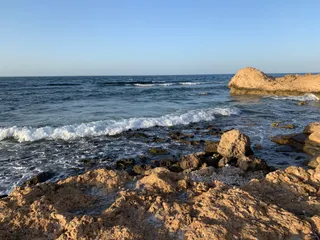 The Sunrise