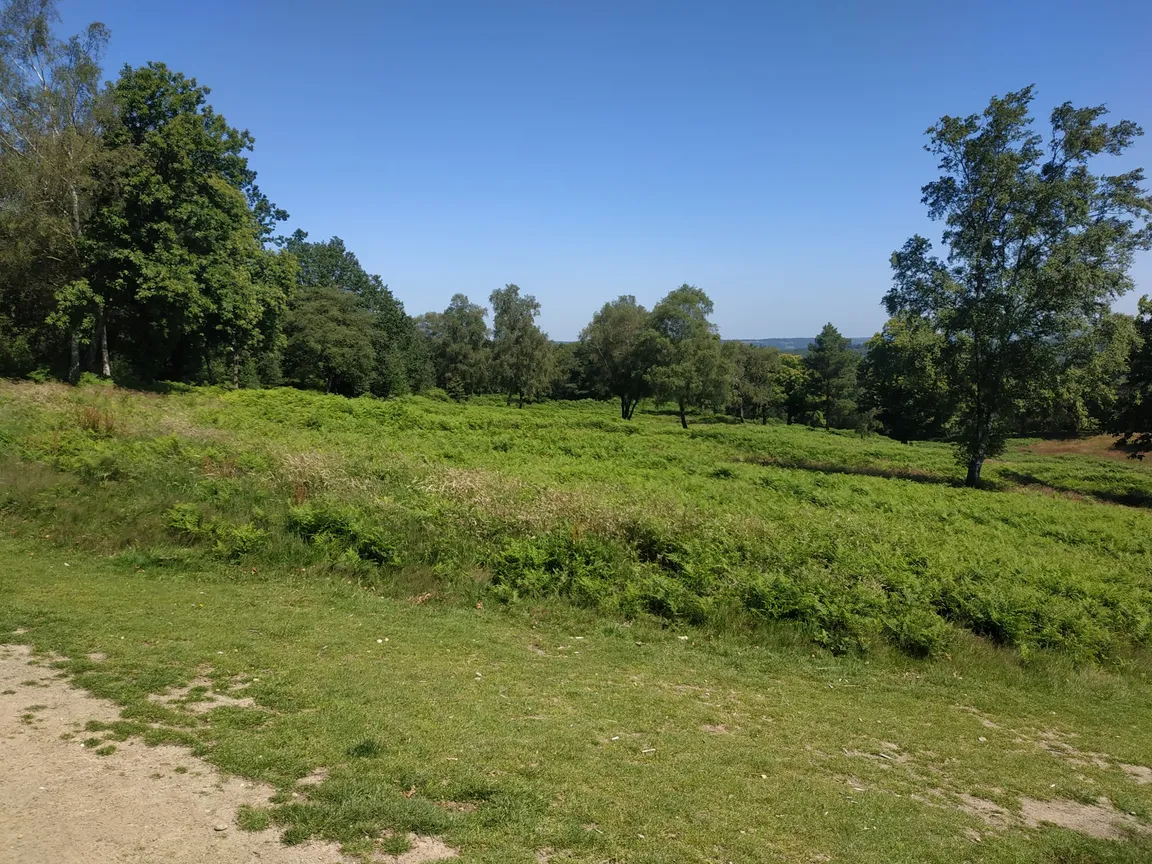 Holmbury Hill