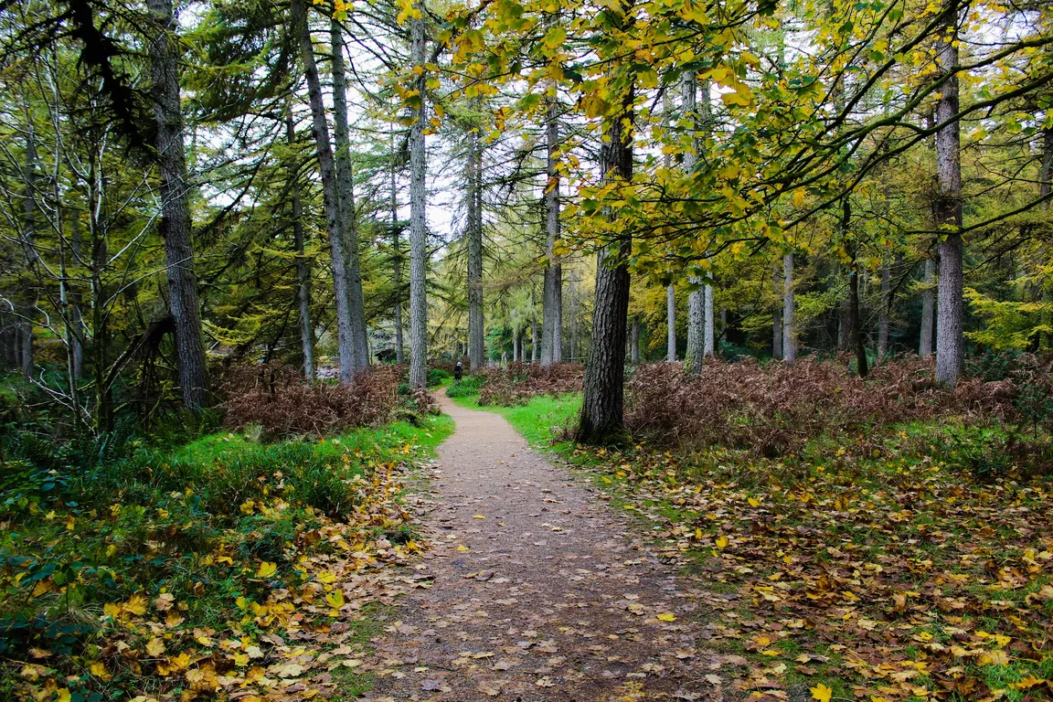 Gortin Glen Forest Park