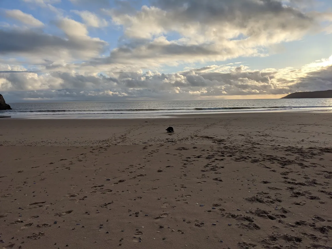 Tor Bay
