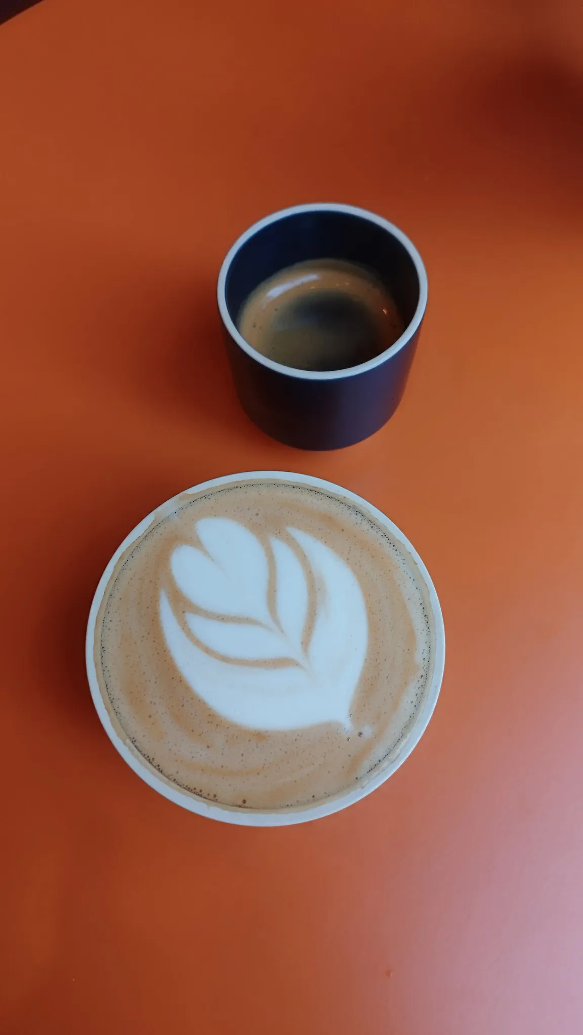 SAMBU’S COFFEE 2 (café de especialidad y Brunch/specialty coffee and Brunch)