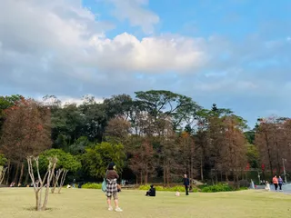 Tianhe Park （West Gate）