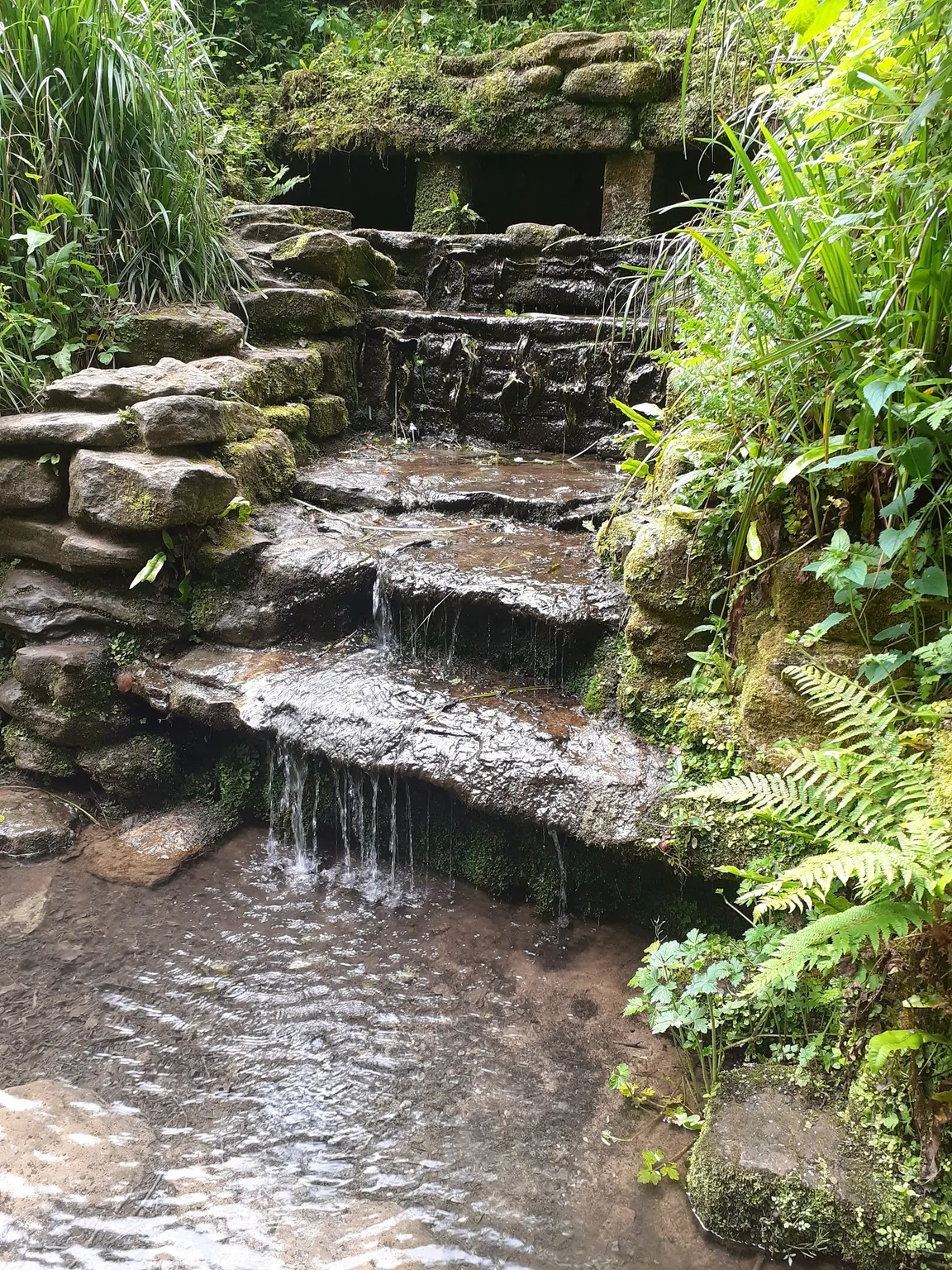 Yeovil Country Park
