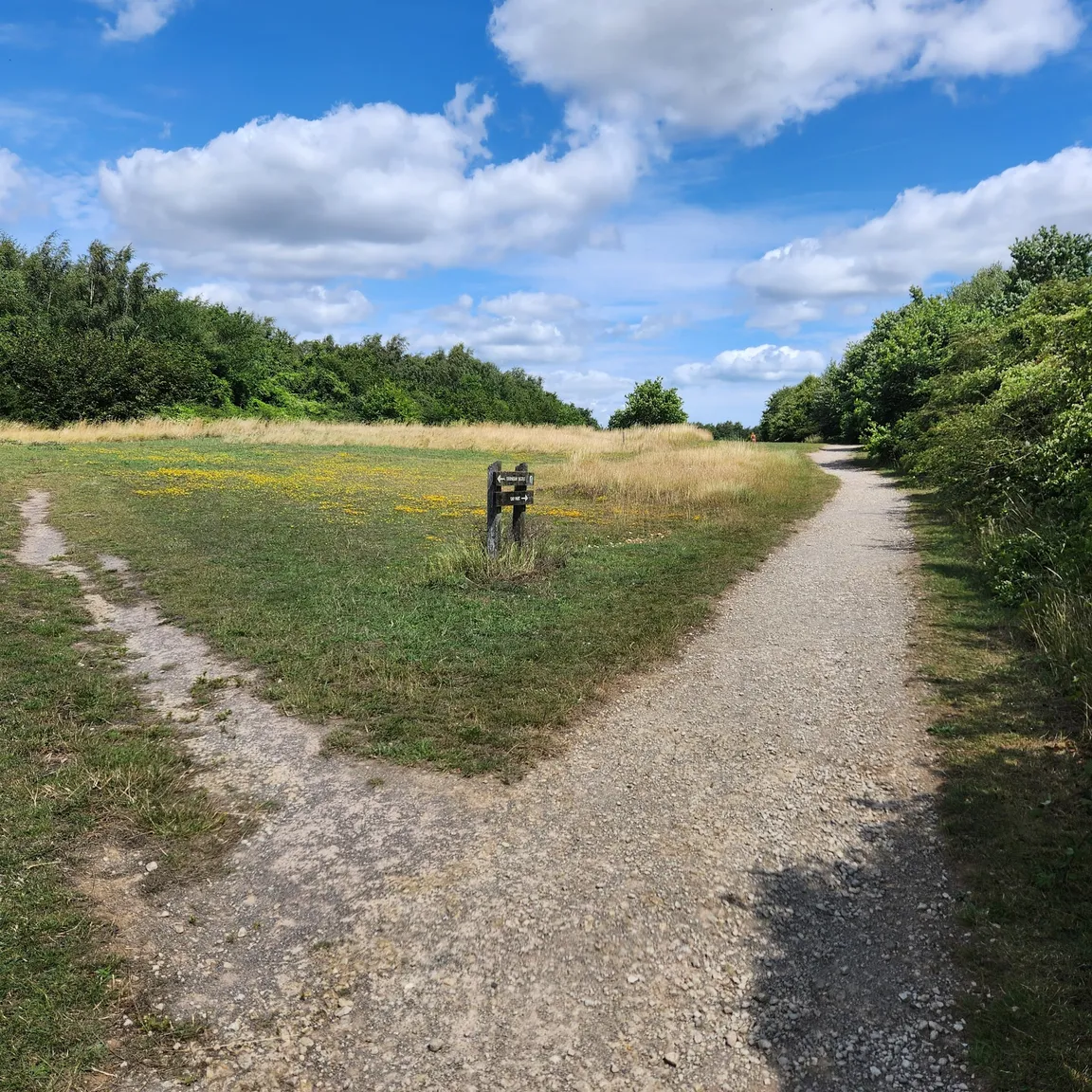 White Horse Wood Country Park