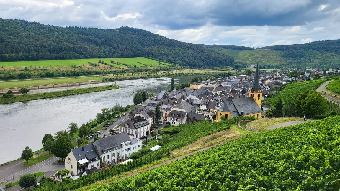 Sortengarten Zeltingen