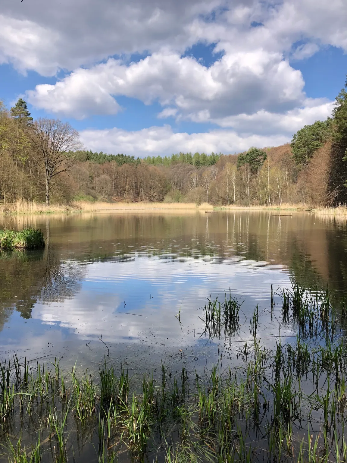 Łagowsko-Sulęciński Park Krajobrazowy