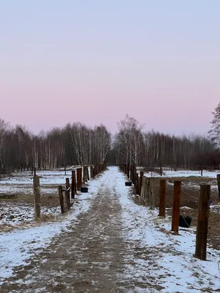 Stajnia Anwele