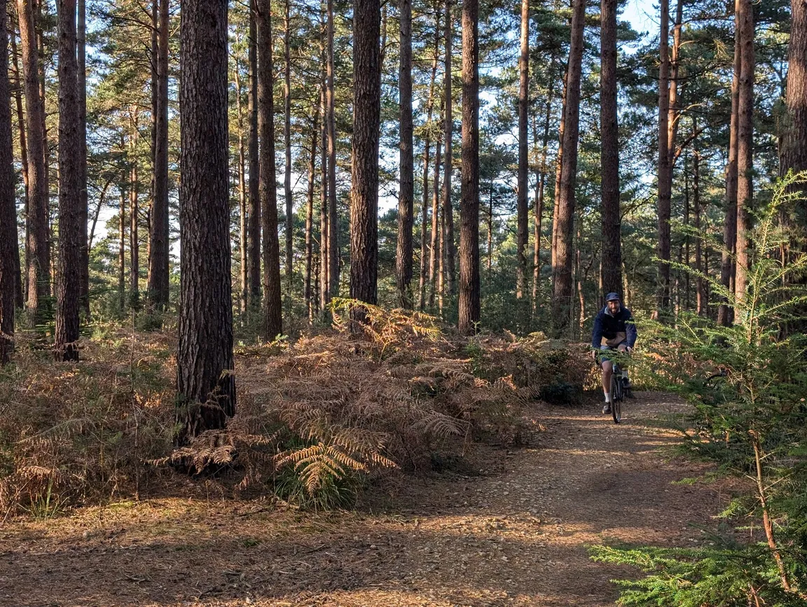 Swinley Bike Hub Swinley Forest's Trail Centre