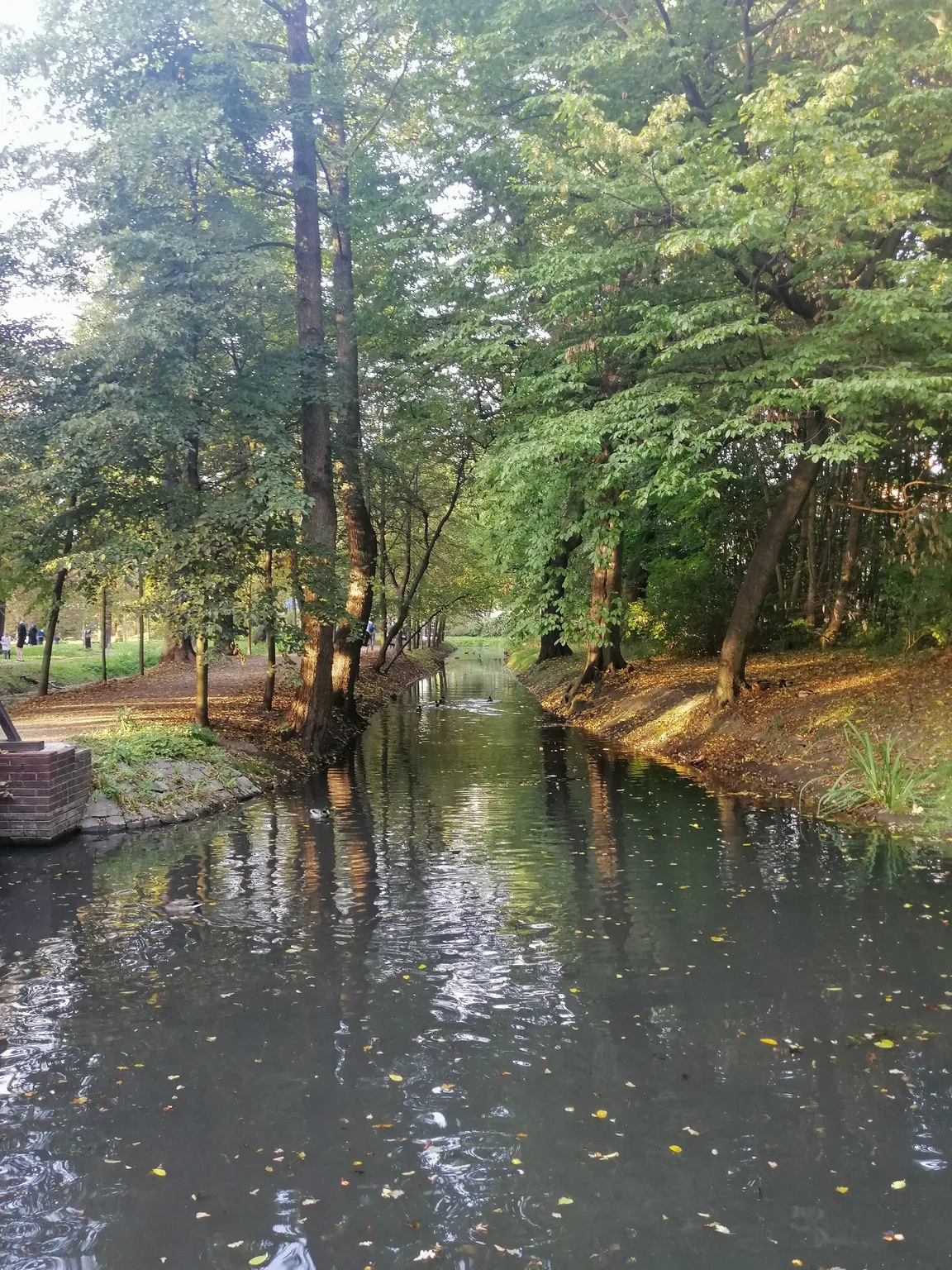 Grabowy Labirynt we Wrocławiu