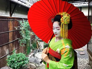 Kyoto Geisha Show & Experience GION MAIKOYA