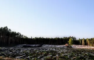 Źródełka rzeki Stok
