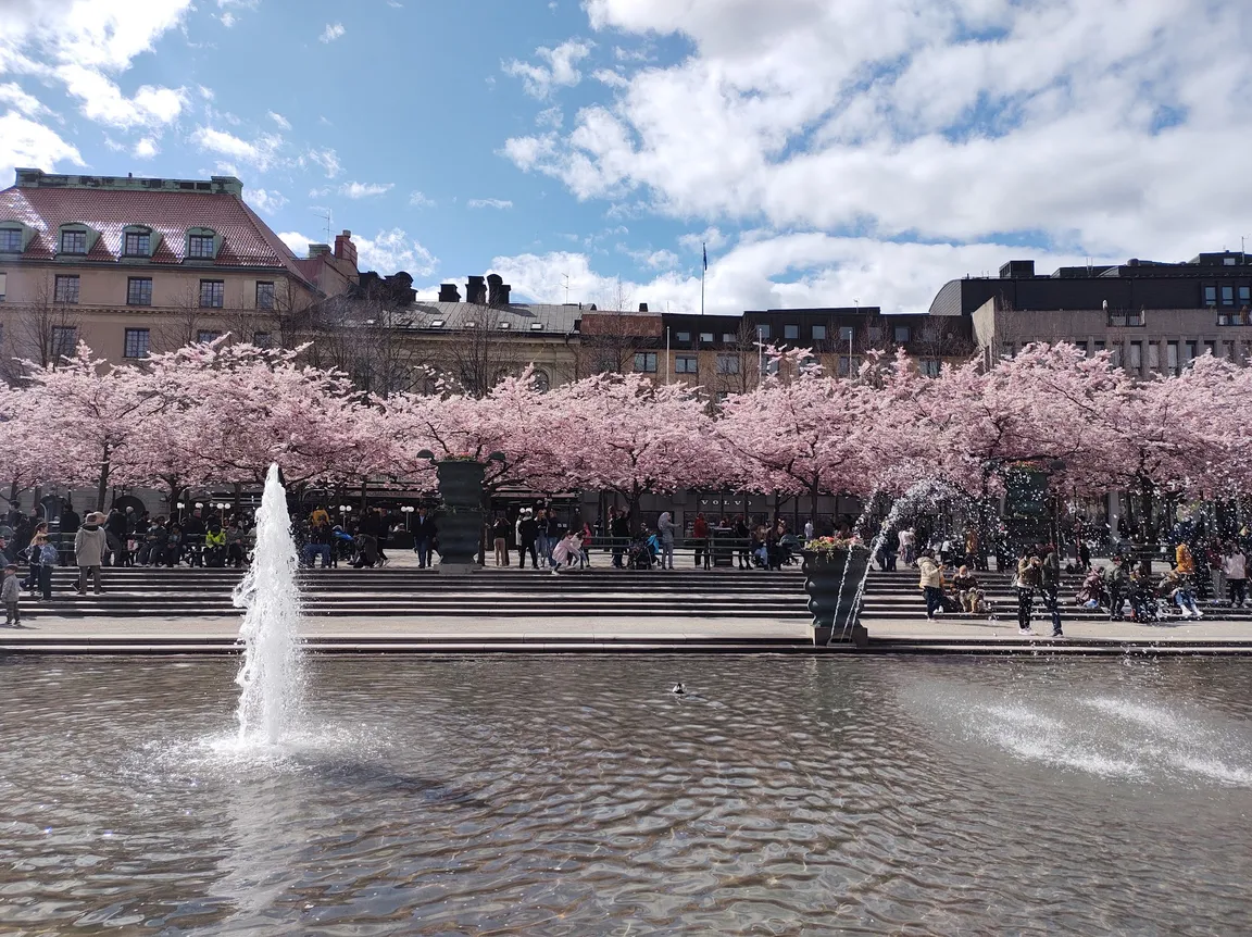Kungsträdgården