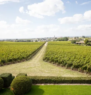 Château Troplong Mondot
