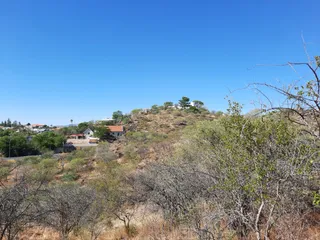 Botanical Garden Walking Path