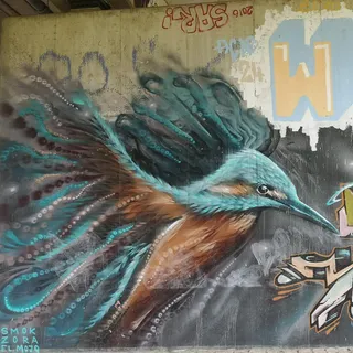 Graffiti Hall of fame Flutrinne