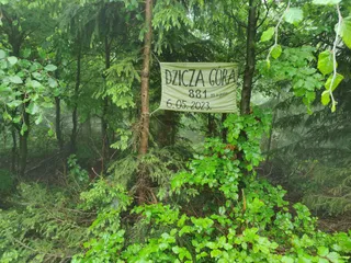 Dzicza Góra