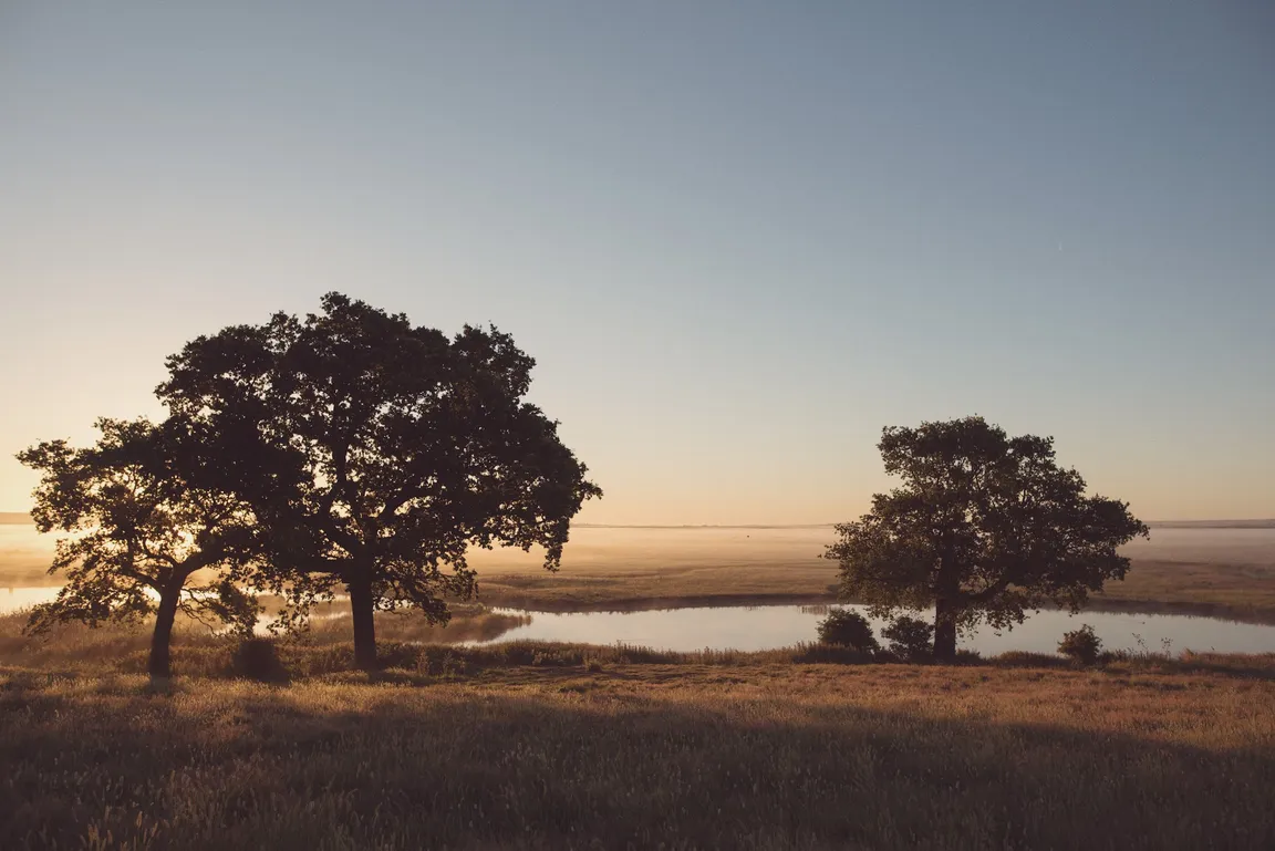 Elmley National Nature Reserve