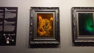 Muzeum Iluzji Wrocław