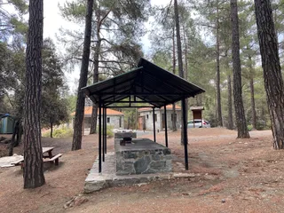 Platania Camping Site