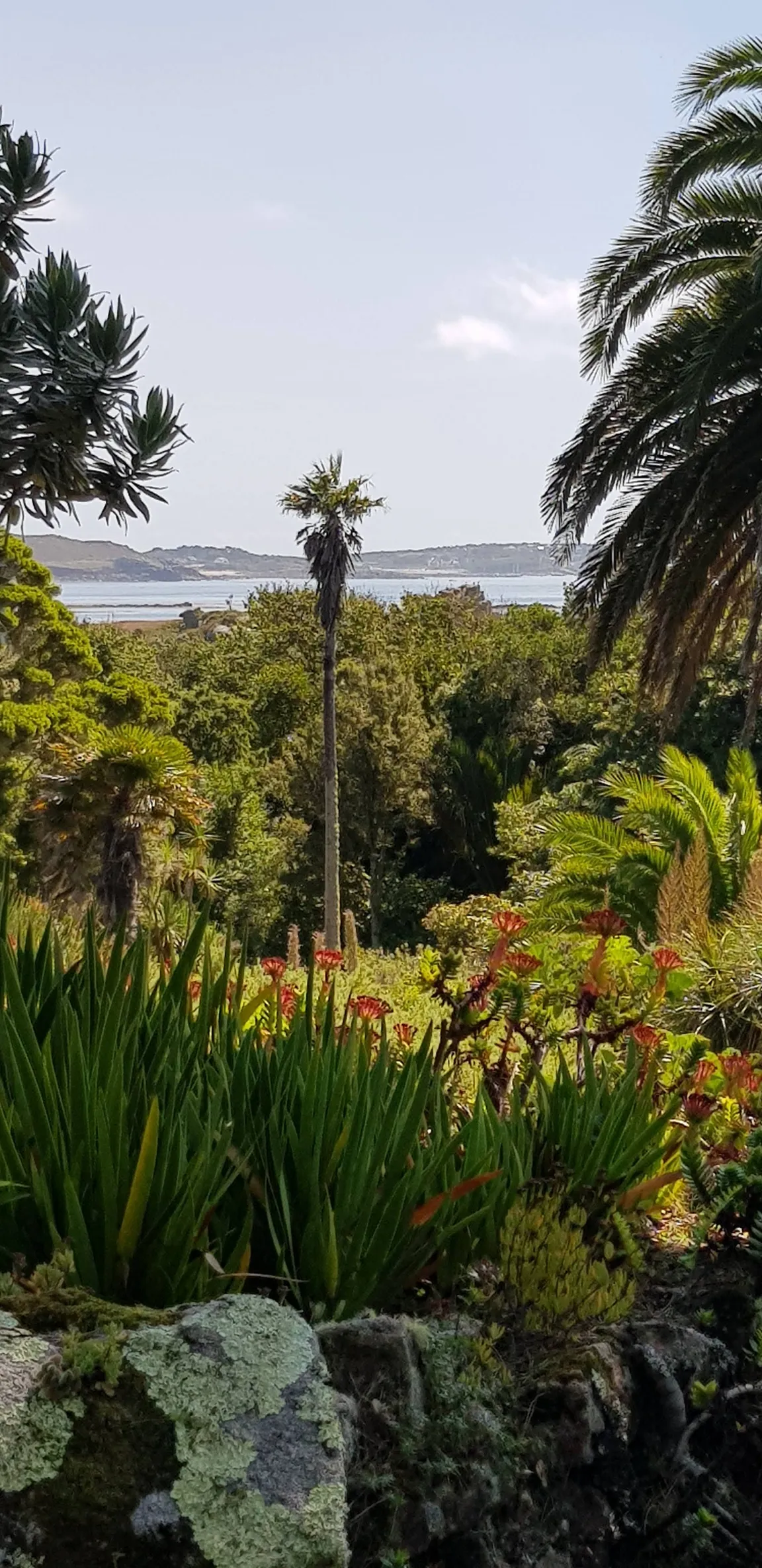 Old Town Bay