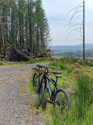 Davagh Forest Trails - MTB Trailhead
