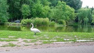 Myślęcinek Leśny Park Kultury i Wypoczynku