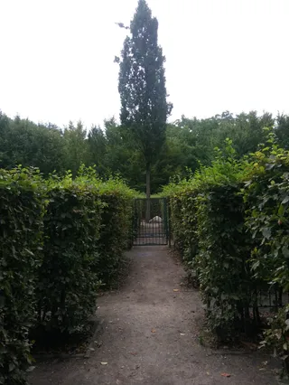 Grabowy Labirynt we Wrocławiu