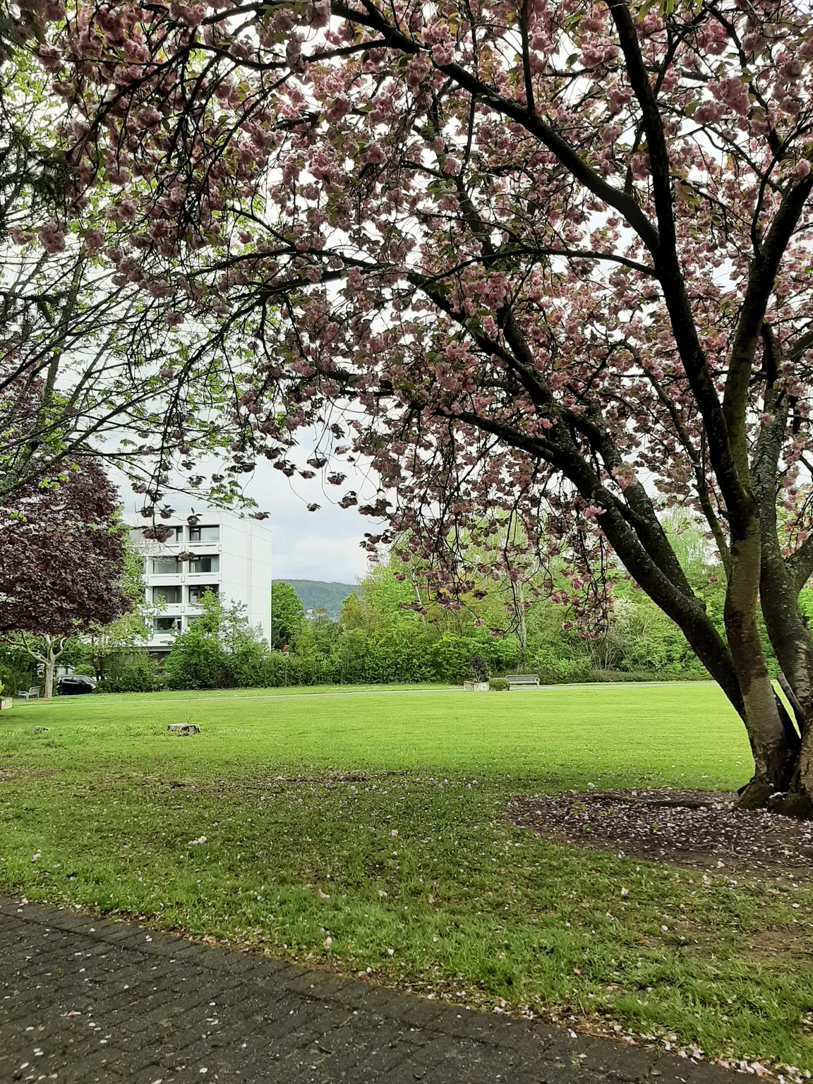 Kurpark Bernkastel-Kues