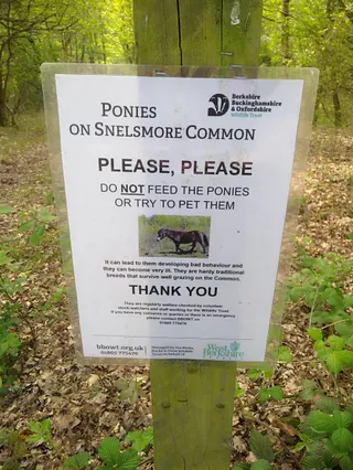 Snelsmore Common Country Park