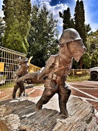 Koziołki Lubelskie (Janek i Jurek)
