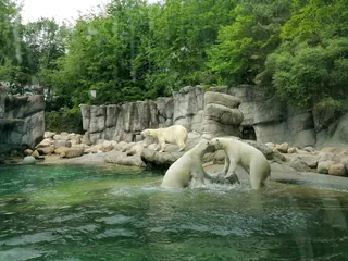 Aalborg Zoo