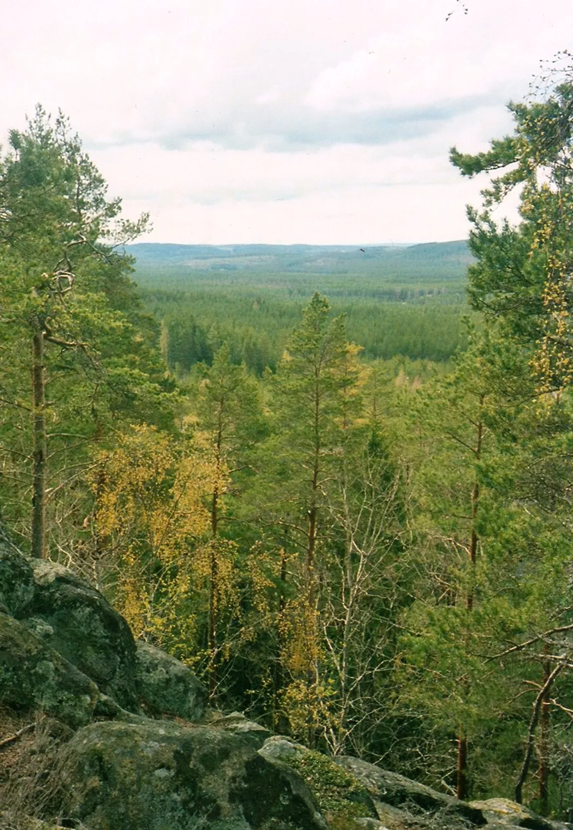 Park Narodowy Norra Kvill