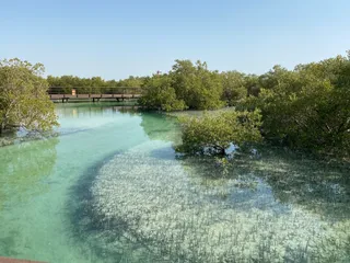 Jubail Mangrove Park