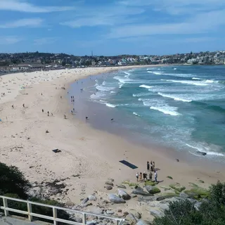 Pacific Bondi Beach