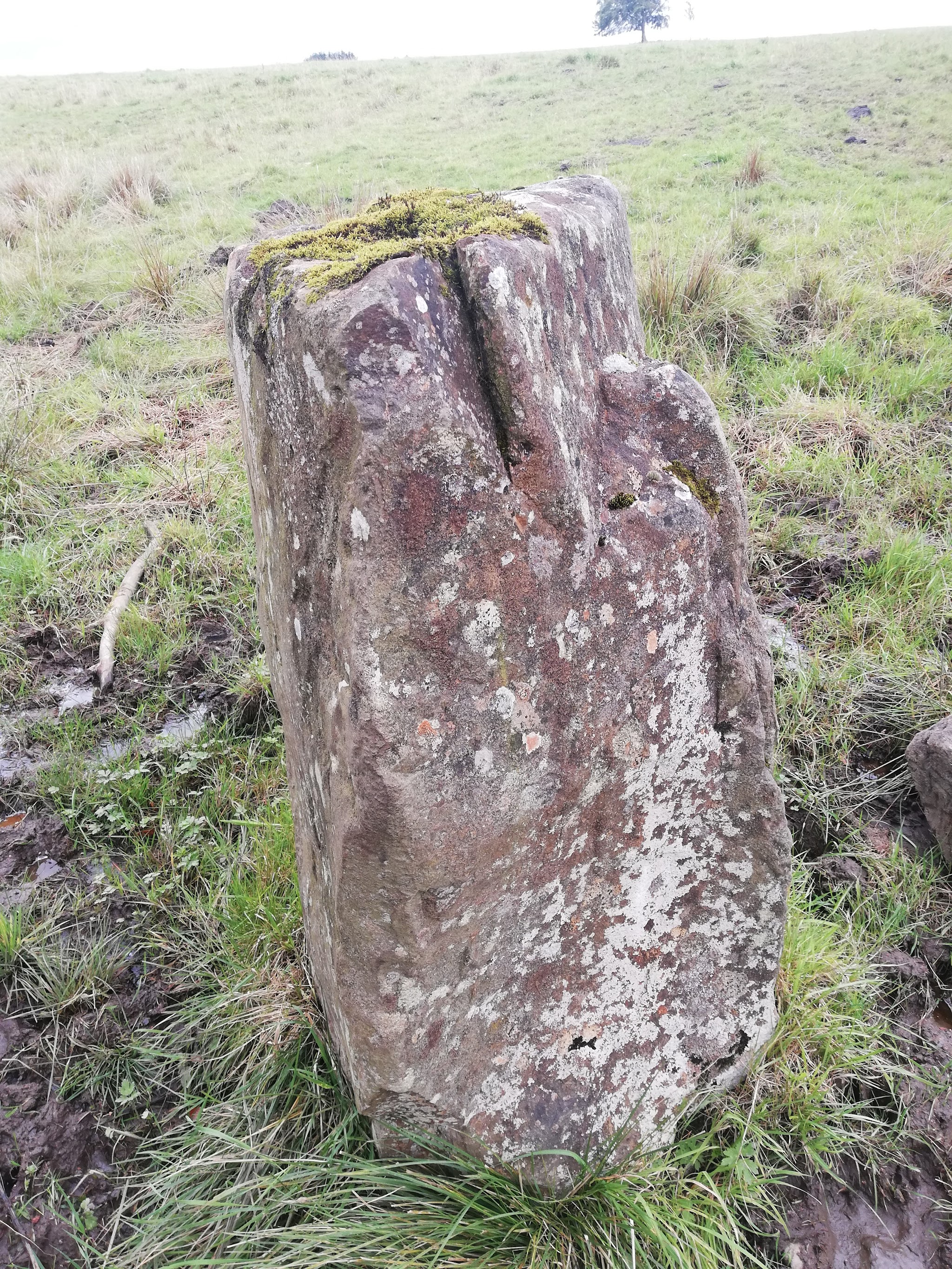 The Wallace Stone | Hopsa