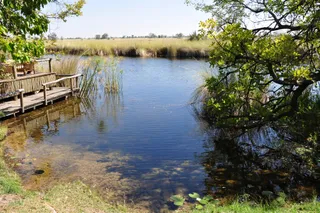 Camp Xakanaxa