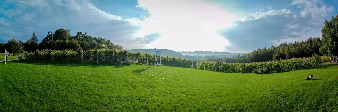 Stateczni Winnica Celejów