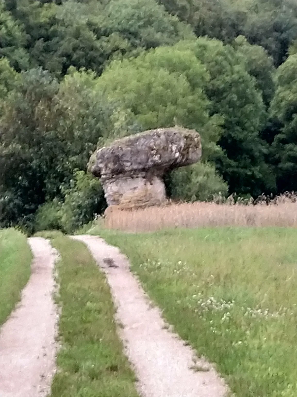 Naturdenkmal Kachelstein bei Wohlmuthshüll