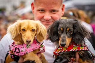 Semaphore Street Fair